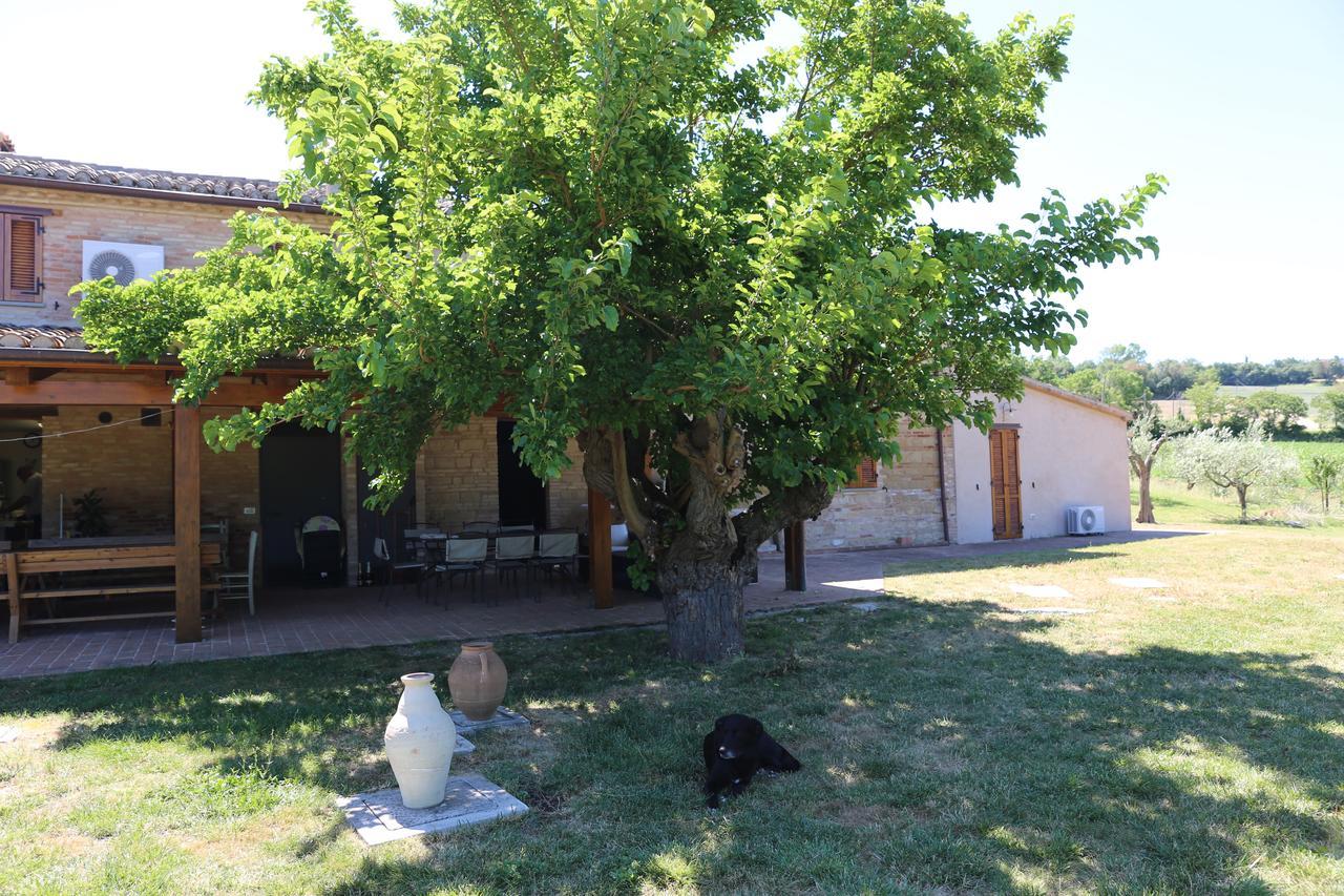 Casale Talevi Villa Cartoceto Exterior photo